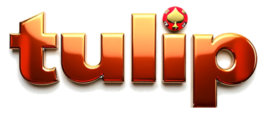 tulip